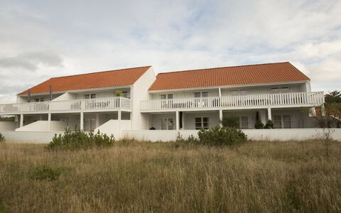 Thorgrim - 800M from the Sea: Planta De La Comunidad, Luz De Sol, Planta Herbácea, Jardín, Plantación, Agricultura, Granja