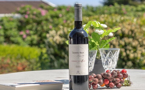 Jarmericus - 300M from the Sea: Botella, Botella De Vino, Botella De Vidrio, Vino, Vino Tinto, Barware