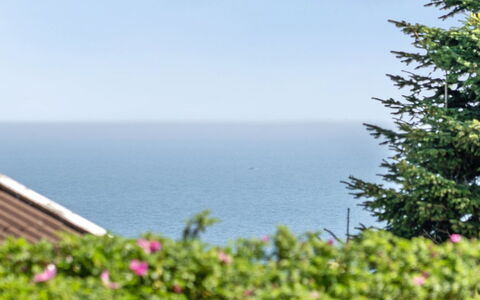 Jarmericus - 300M from the Sea: Cielo, Azul, Verde, Horizonte, Mar, Oceano, Costa, Zona Tropical, Hojas Perennes