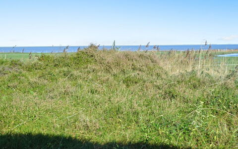 Asfrid - 3.5Km from the Sea: Azul, Cielo, Verde, Hierba, Pradera, Vegetación, Verano, Ecorregión, Planta De La Comunidad, El Terreno Del Lote