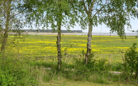 Asfrid - 3.5Km from the Sea: Verde, Hierba, Entorno Natural, Amarillo, Pradera, Vegetación, Paisaje Natural, Llanura, Planta De La Comunidad, El Terreno Del Lote