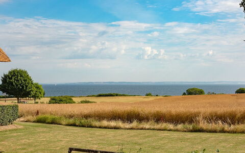 Edithe - 250M from the Sea: Cielo, Azul, Verde, Hierba, Paisaje Natural, Pradera, Horizonte, Llanura, Ecorregión