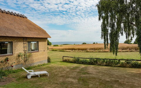 Edithe - 250M from the Sea: El Terreno Del Lote, Área Rural, Cabaña, Cubrir Con Paja, Campo, Prado, Casa De Campo, Pradera, Granja