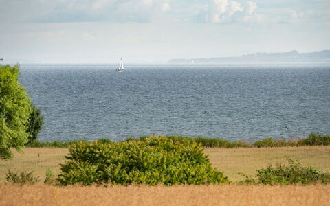 Edithe - 250M from the Sea: Cielo, Azul, Horizonte, Agua, Tiempo De Día, Cuerpo De Agua, Nube, Ecorregión, Pradera, Mar