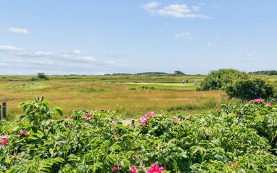Tellervo - 2.4Km from the Sea