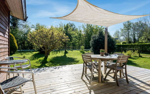 Alvia - 200M from the Sea: Planta De La Comunidad, Luz De Sol, Planta Herbácea, Jardín, Plantación, Agricultura, Granja