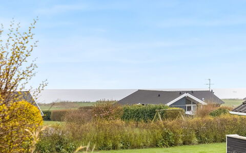 Hera - 200M from the Sea: Planta De La Comunidad, Luz De Sol, Planta Herbácea, Jardín, Plantación, Agricultura, Granja