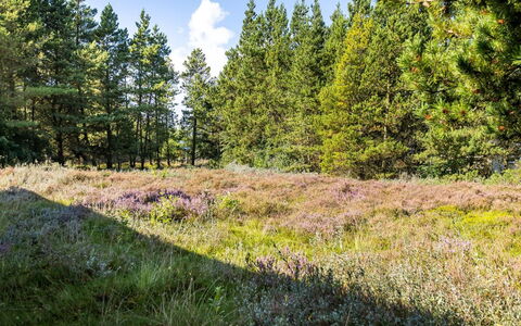 Maija - 1.4Km from the Sea: Cabaña, Cobertizo, \Choza, Casa De Campo, Pradera, Choza, Granero, Cuarto De Troncos, Edificios Del Jardín