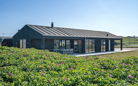 Aiko - 50M from the Sea: Planta De La Comunidad, Luz De Sol, Planta Herbácea, Jardín, Plantación, Agricultura, Granja