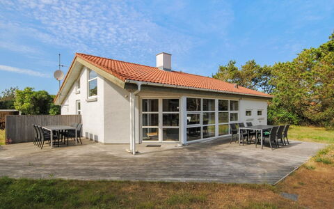 Konrad - 400M from the Sea: Planta De La Comunidad, Luz De Sol, Planta Herbácea, Jardín, Plantación, Agricultura, Granja