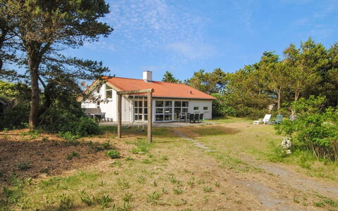Konrad - 400M from the Sea: Planta De La Comunidad, Luz De Sol, Planta Herbácea, Jardín, Plantación, Agricultura, Granja