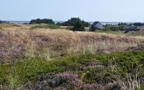 Arli - 800M from the Sea: Cabaña, Cobertizo, \Choza, Casa De Campo, Pradera, Choza, Granero, Cuarto De Troncos, Edificios Del Jardín