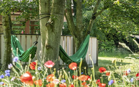 Leevi - 150M from the Sea: Verde, Hoja, Verano, Jardín, Arbusto, Césped, Primavera, Cobertura Del Suelo, El Maletero