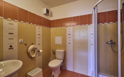 Rokytnice Nad Jizerou 556: Arreglo De Tubería, Propiedad, Edificio, Lavabo, Baño, Diseño De Interiores, Baño, Casa, Suelo