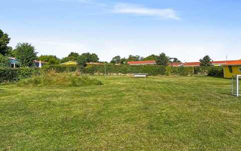 Kjera - 200M from the Sea: Planta De La Comunidad, Luz De Sol, Planta Herbácea, Jardín, Plantación, Agricultura, Granja