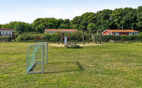 Kjera - 200M from the Sea: Planta De La Comunidad, Luz De Sol, Planta Herbácea, Jardín, Plantación, Agricultura, Granja