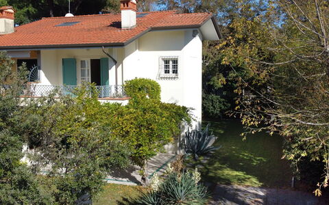 Villa Glicine: Planta, Propiedad, Ventana, Edificio, Botánica, Casa, Árbol, Hierba, El Terreno Del Lote, Cabaña