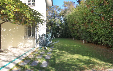 Villa Glicine: Planta, Propiedad, Ventana, Hoja, Edificio, Cielo, Rama, Vegetación, El Terreno Del Lote, Árbol