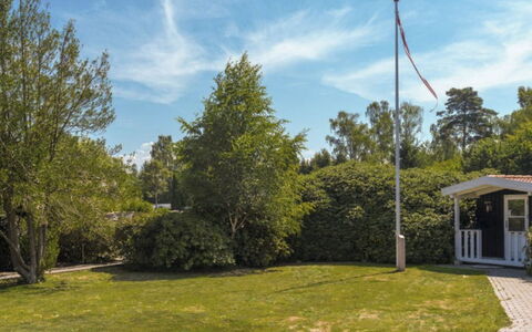 Cedomir - 625M from the Sea: Planta De La Comunidad, Luz De Sol, Planta Herbácea, Jardín, Plantación, Agricultura, Granja