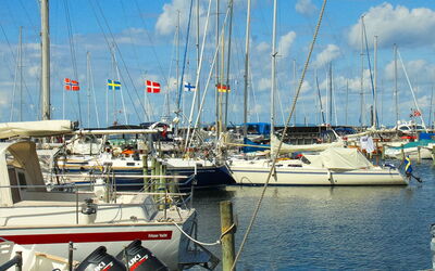 Cedomir - 625M from the Sea