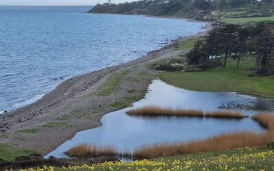 Miona - 725M from the Sea