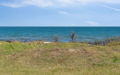 Arild - 10M from the Sea: Planta De La Comunidad, Luz De Sol, Planta Herbácea, Jardín, Plantación, Agricultura, Granja