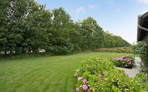 Miika - 100M from the Sea: Planta De La Comunidad, Luz De Sol, Planta Herbácea, Jardín, Plantación, Agricultura, Granja