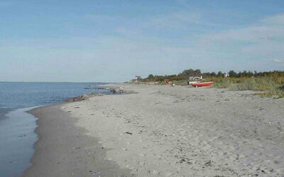 Elbert - 100M from the Sea