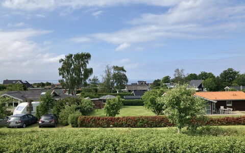 Eike - 250M from the Sea: Planta De La Comunidad, Luz De Sol, Planta Herbácea, Jardín, Plantación, Agricultura, Granja