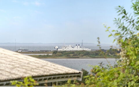 Loi - 200M from the Sea: Planta De La Comunidad, Luz De Sol, Planta Herbácea, Jardín, Plantación, Agricultura, Granja