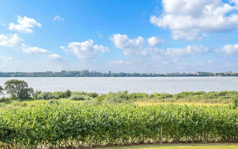 Rathi - 250M from the Sea: Planta De La Comunidad, Luz De Sol, Planta Herbácea, Jardín, Plantación, Agricultura, Granja