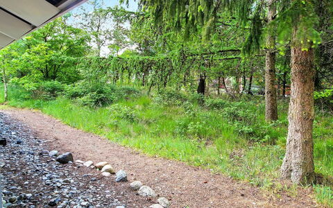 Frederikke - 28Km from the Sea: Verde, Arbusto, Planta De La Comunidad, Cobertura Del Suelo, Sendero, Suelo, Jardín, Bosque, Selva, Hojas Perennes