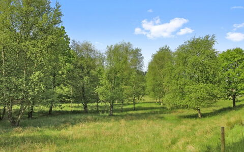 Terese - 45Km from the Sea: Planta De La Comunidad, Luz De Sol, Planta Herbácea, Jardín, Plantación, Agricultura, Granja