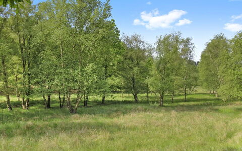 Terese - 45Km from the Sea: Planta De La Comunidad, Luz De Sol, Planta Herbácea, Jardín, Plantación, Agricultura, Granja