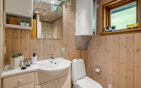 Engeline - 300M to the Fjord: Lavabo Del Baño, Arreglo De Tubería, Madera, Lavabo, Diseño De Interiores, Piso, Suelo, Mueble De Baño, Baño, Grifo