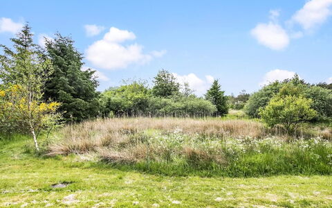 Aameek - 3Km from the Sea: Planta De La Comunidad, Luz De Sol, Planta Herbácea, Jardín, Plantación, Agricultura, Granja