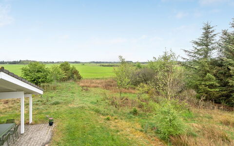 Aameek - 3Km from the Sea: Planta De La Comunidad, Luz De Sol, Planta Herbácea, Jardín, Plantación, Agricultura, Granja