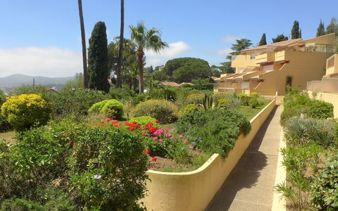 Cadet Rousse: Cielo, Planta, Nube, Flor, Planta De La Comunidad, Edificio, Botánica, Vegetación, El Terreno Del Lote, Árbol