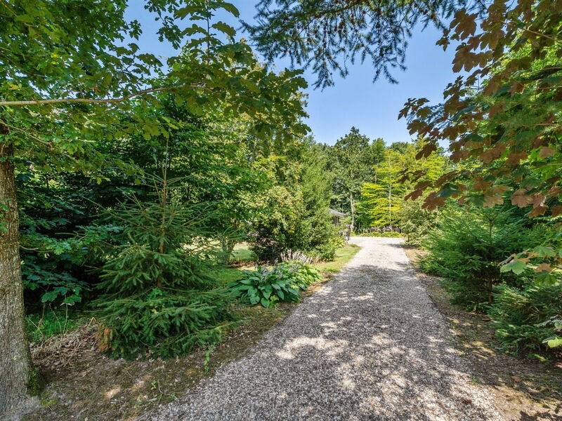signild - 45km From The Sea In The Liim Fiord