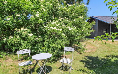 Rufina - 850M from the Sea: Arbusto, Primavera, Jardín, Sombra, Patio Interior, Hortensia, Familia De Las Rosáceas, Plantación