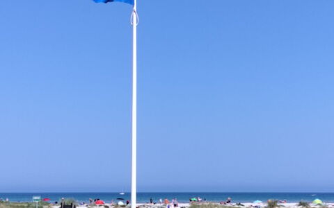 Line - 10M from the Sea: Casa, Techo, Casa, Cabaña, Cobertizo, Edificios Del Jardín, Vía Muerta, Yarda, Cuarto De Troncos, \Choza
