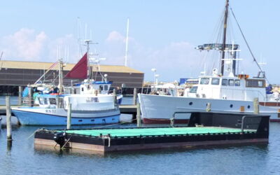 Line - 10M from the Sea