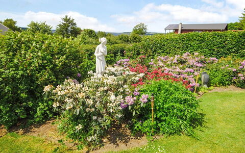 Annabeth - 300M to the Fjord: Flor, Jardín, Arbusto, Rosado, Planta De La Comunidad, Cobertura Del Suelo, Primavera, Planta Floreciendo, Púrpura
