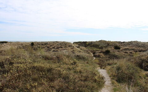Alexi - 150M from the Sea: Cielo, Hierba, Entorno Natural, Vegetación, Pradera, Ecorregión, Horizonte, Planta De La Comunidad, Shrubland, Desierto