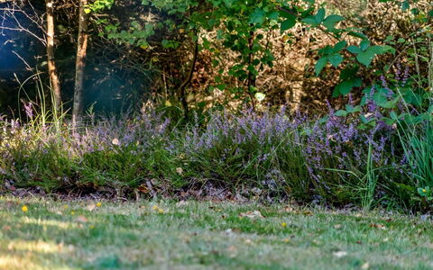 Barne - 4Km from the Sea: 