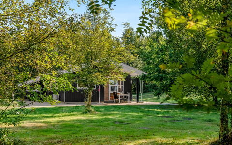 Barne - 4Km from the Sea: 