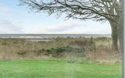 Timmi - 100M from the Sea