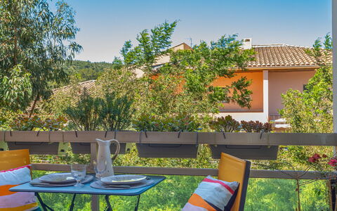 Bormes-Les-Mimosas 200: Cielo, Planta, Propiedad, Mueble, Planta De La Comunidad, Botánica, Naturaleza, Azur, Mesa, Silla