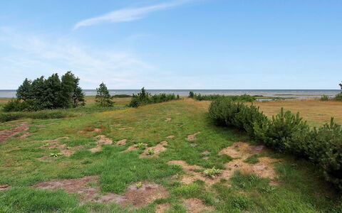 Hane - 150M from the Sea: Hierba, Vegetación, Pradera, Ecorregión, Llanura, Planta De La Comunidad, El Terreno Del Lote, Shrubland, Pasto