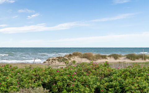 Miroslava - 140M from the Sea: Casa, Casa, Puerta, Techo, Cabaña, Inmuebles, Jardín, Sombra, Vía Muerta, Yarda